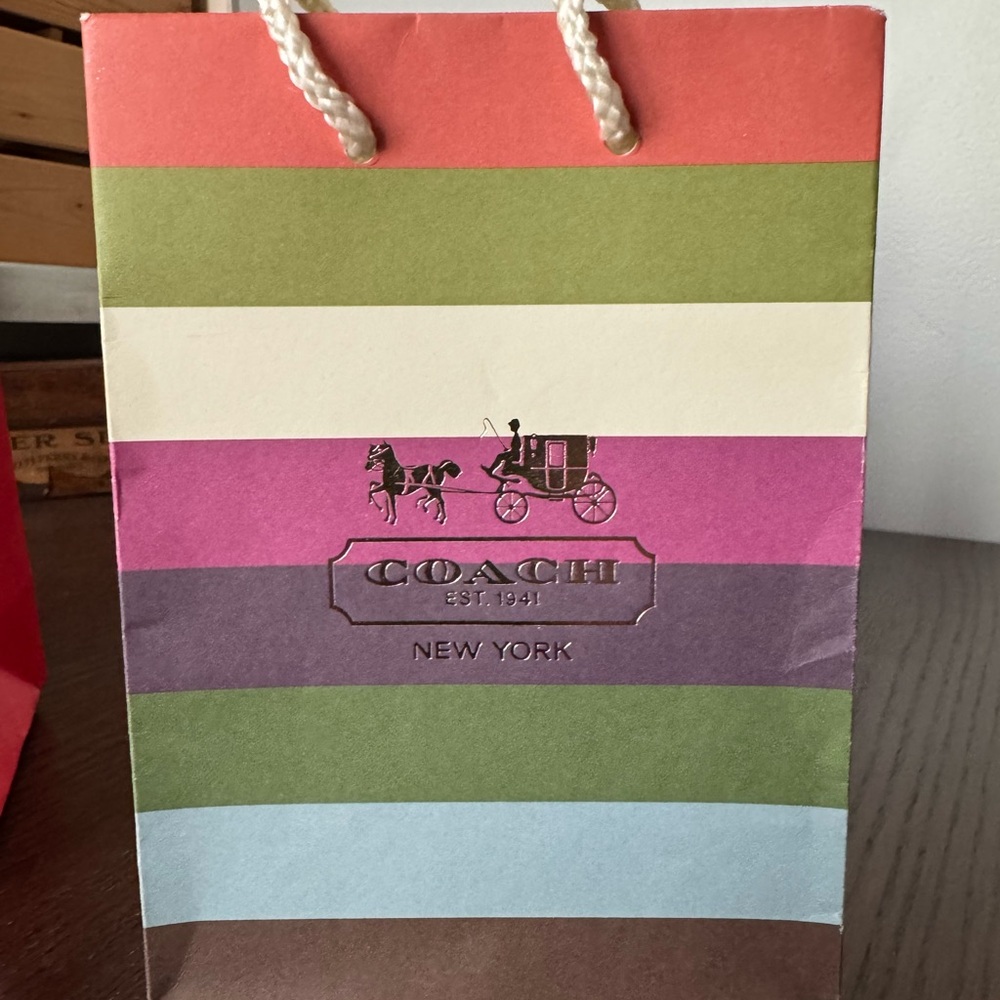 Coach Striped Gift Bag with Logo